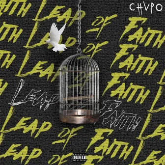 Leap of Faith by Chvpo