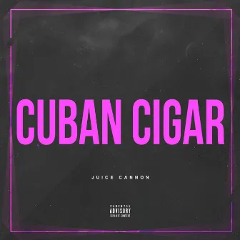 Cuban Cigar by Unknown Artist