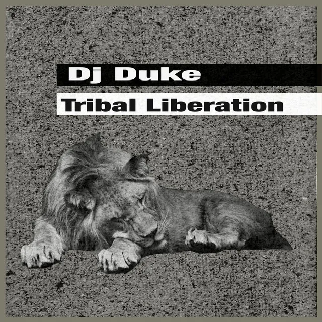 Tribal Journey - Sun Mix