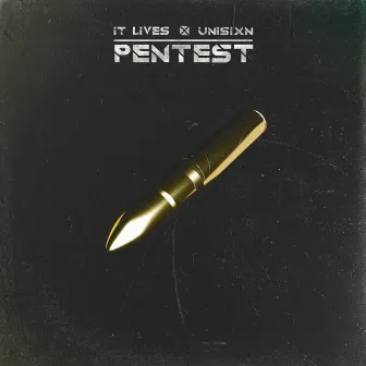 PENTEST by unisixn