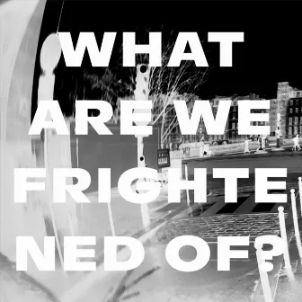 What Are We Frightened Of? by Alberta Cross