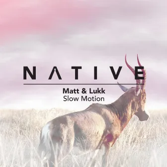 Slow Motion by Matt And Lukk