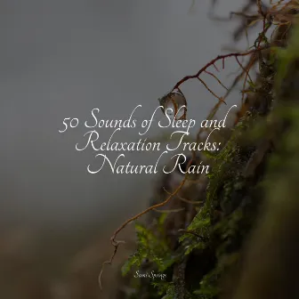 50 Sounds of Sleep and Relaxation Tracks: Natural Rain by Naturaleza Sonidos