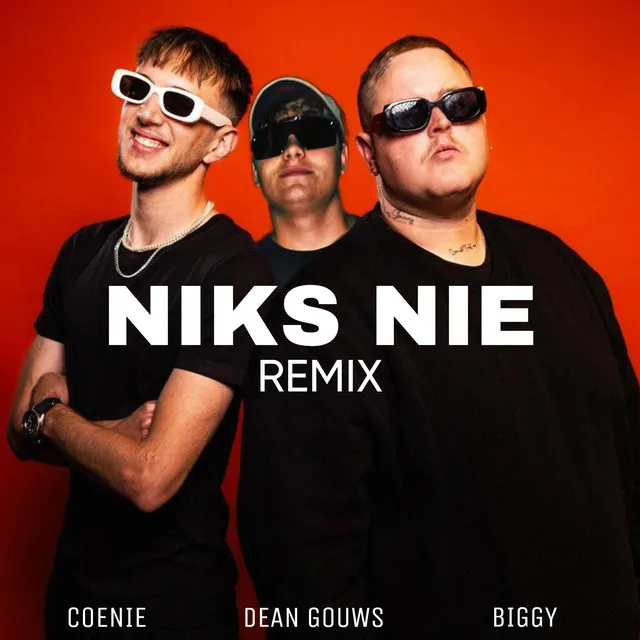 Niks Nie - Dean Gouws Remix