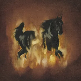 The Besnard Lakes Are The Dark Horse by The Besnard Lakes