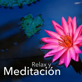 Musica para Relax y Meditacion, Música para Bebés para Dormir by Unknown Artist