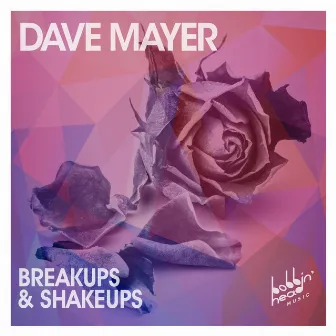 Breakups & Shakeups by Dave Mayer