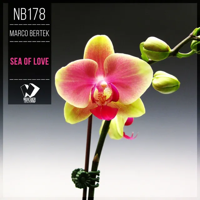 Sea of Love - Original Mix