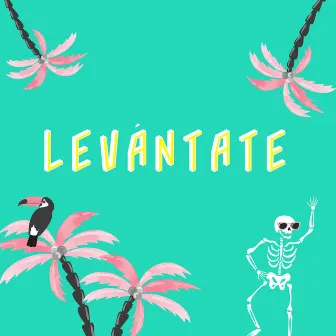 Levántate by Felipe Dayz