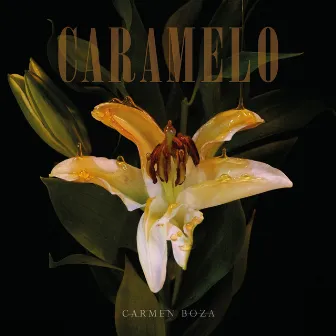 Caramelo by Carmen Boza