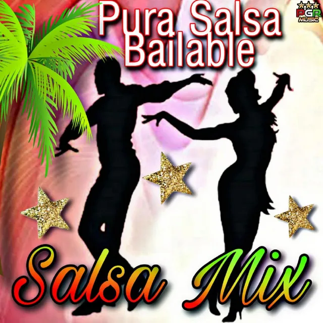 Pura Salsa Bailable