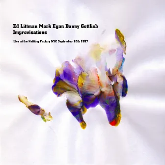 Ed Littman, Mark Egan, Danny Gottlieb- Improvisations by Ed Littman