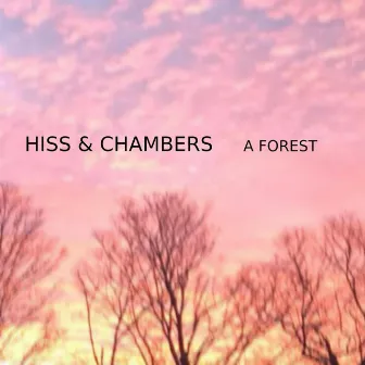 A Forest by Hiss & Chambers