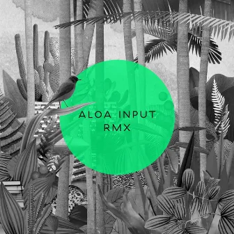 Anysome RMX by Aloa Input