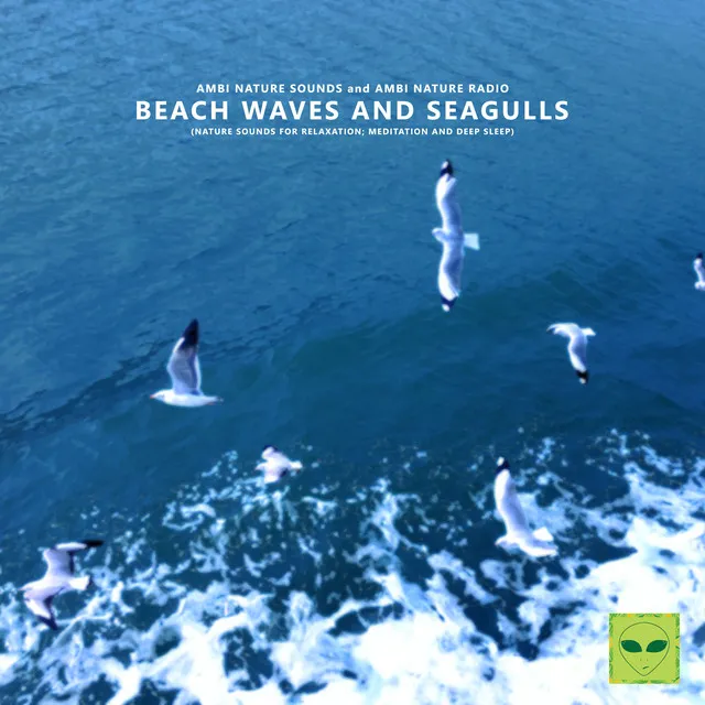 Beach Waves and Seagulls