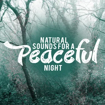 Natural Sounds for a Peaceful Night by Exam Study Nature Music Nature Sounds