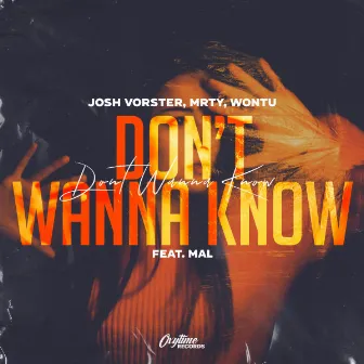 Don't Wanna Know by Josh Vorster