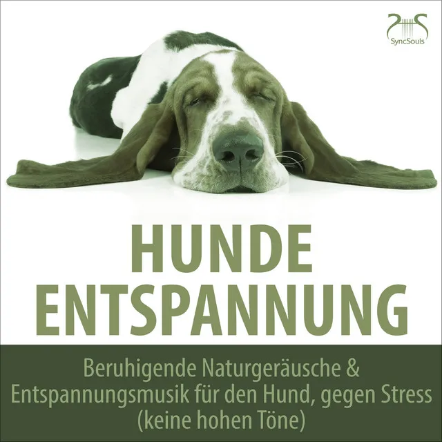 Hunde Entspannung - Beruhigende Naturgeräusche & Entspannungsmusik für den Hund, gegen Stress (keine hohen Töne)