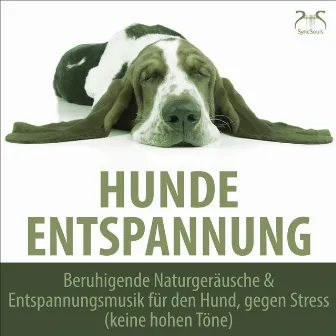 Hunde Entspannung - Beruhigende Naturgeräusche & Entspannungsmusik für den Hund, gegen Stress (keine hohen Töne) by Hunde Musik TA