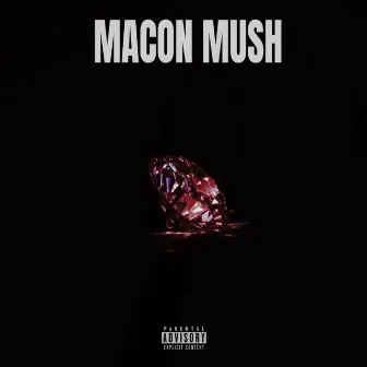 Leaked Not Loved by Macon Mush