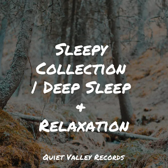 Sleepy Collection | Deep Sleep & Relaxation