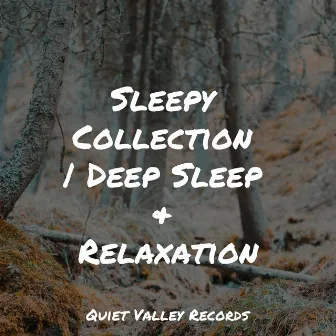 Sleepy Collection | Deep Sleep & Relaxation by Baby Sweet Dream