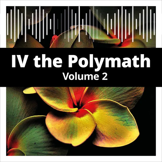 IV the Polymath, Vol. 2