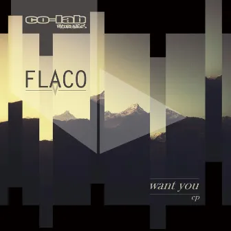 Want You EP by Flaco