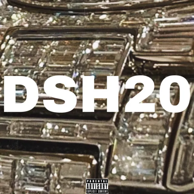 DSH20