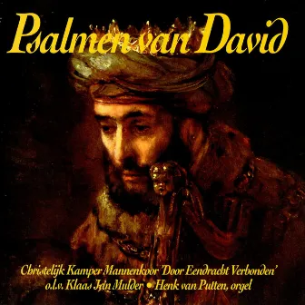 Psalmen van David by Henk van Putten