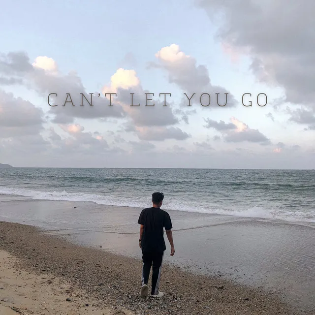 Can’t Let You Go