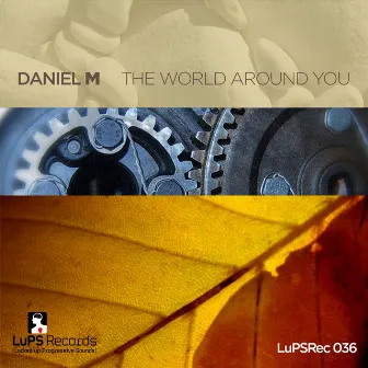 The World Around You / Ambivalent Feelings by Daniel M