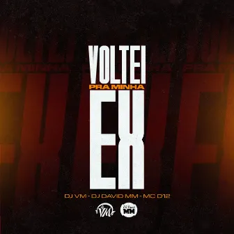 Voltei pra Minha Ex by MC D12