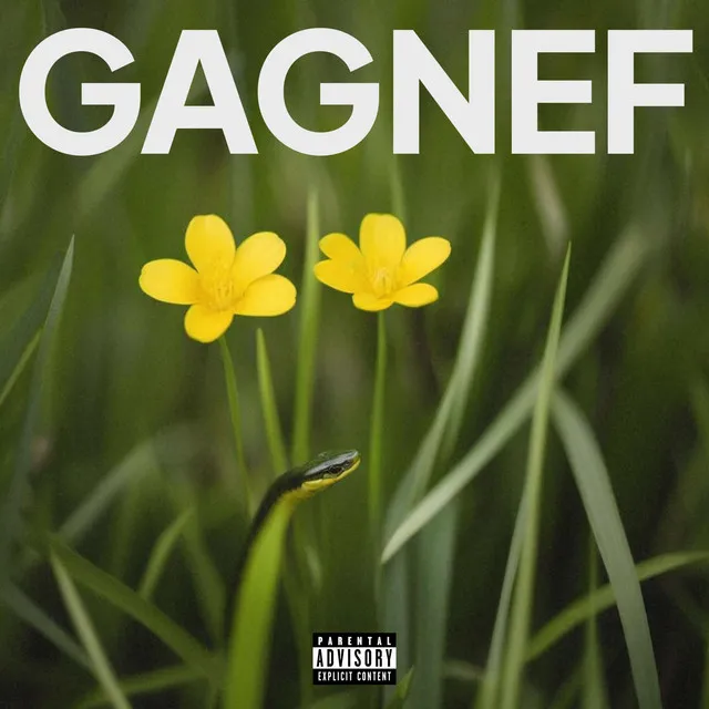 GAGNEF