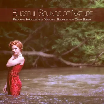 Blissful Sounds of Nature: Relaxing Moods and Natural Sounds for Deep Sleep by Einstein Nature Sounds Academy