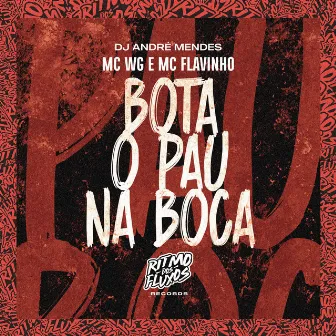 Bota o Pau na Boca by MC WG