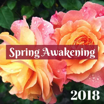 Spring Awakening 2018 - Springtime Happy Nature Music for Feeling Good & Positive Feelings by Spring Awakening