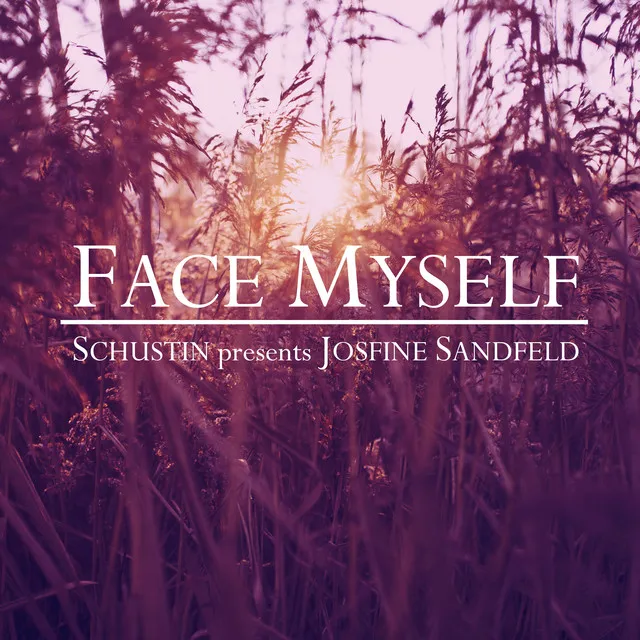 Face Myself - Dany Comaro Remix