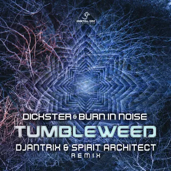 Tumbleweed Djantrix & Spirit Architect Remix by Dickster