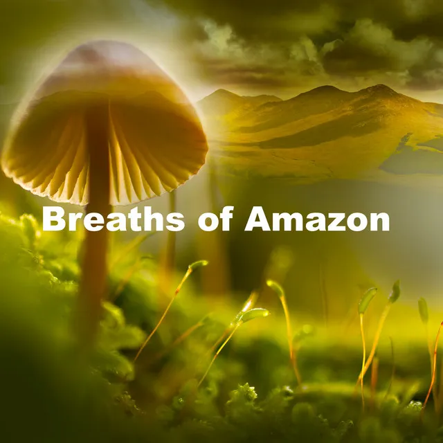 Breaths of Amazon