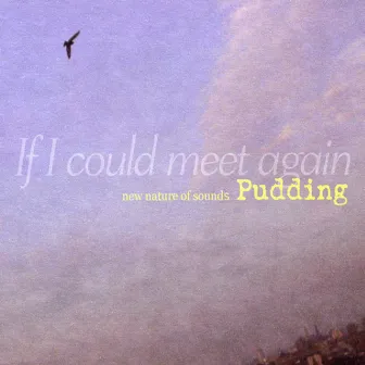 If I Could Meet Again (New Nature Of Sounds) by Pudding