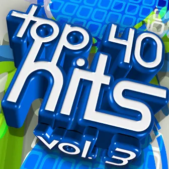 Top 40 Hits, Vol. 3 by Mary Levine