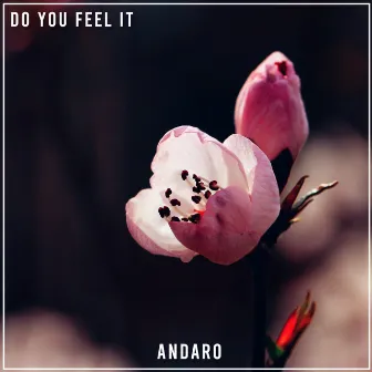 Do You Feel It by Andaro