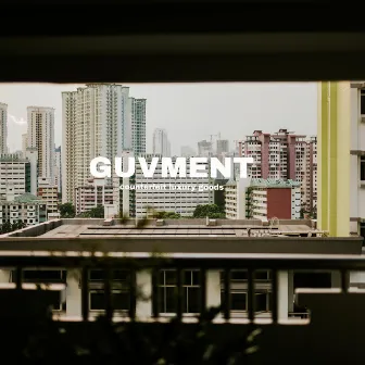 Counterfeit Luxury Goods by Guvment