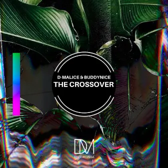 The Crossover by D-Malice