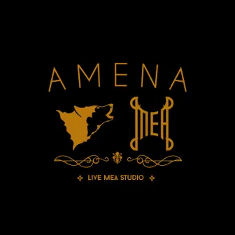 Live Mea Studio by Amena