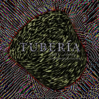 Tuberia by Gambusia