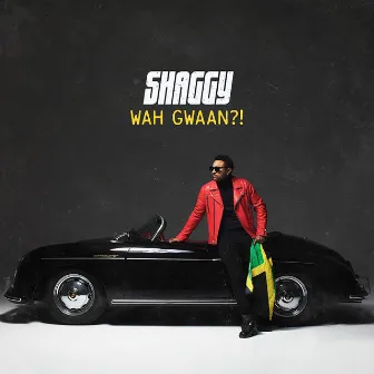 Wah Gwaan?! by Shaggy