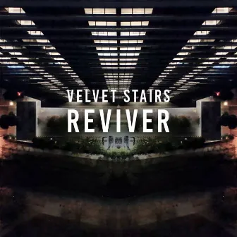 Reviver by Velvet Stairs