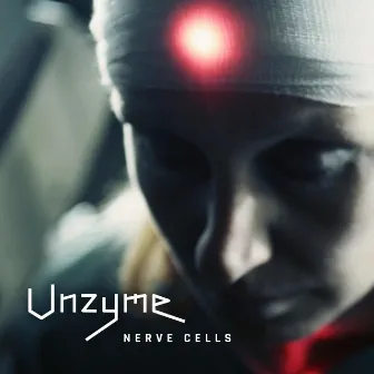 Nerve cells by Unzyme